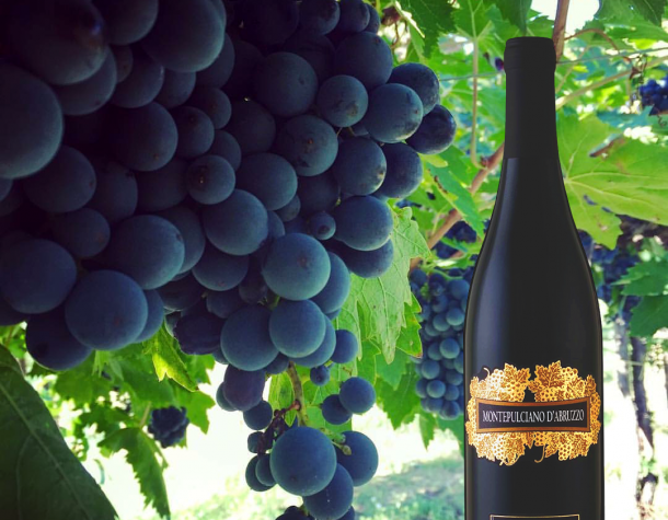 Montepulciano d`Abruzzo_D.O.C