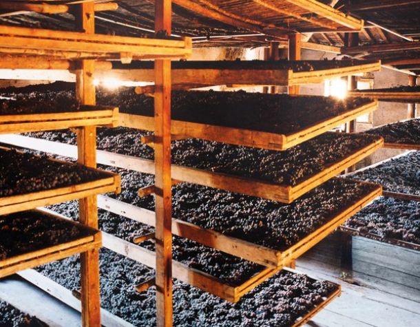 Amarone della Valpolicella - từ La Mã cổ đại đến ngày nay